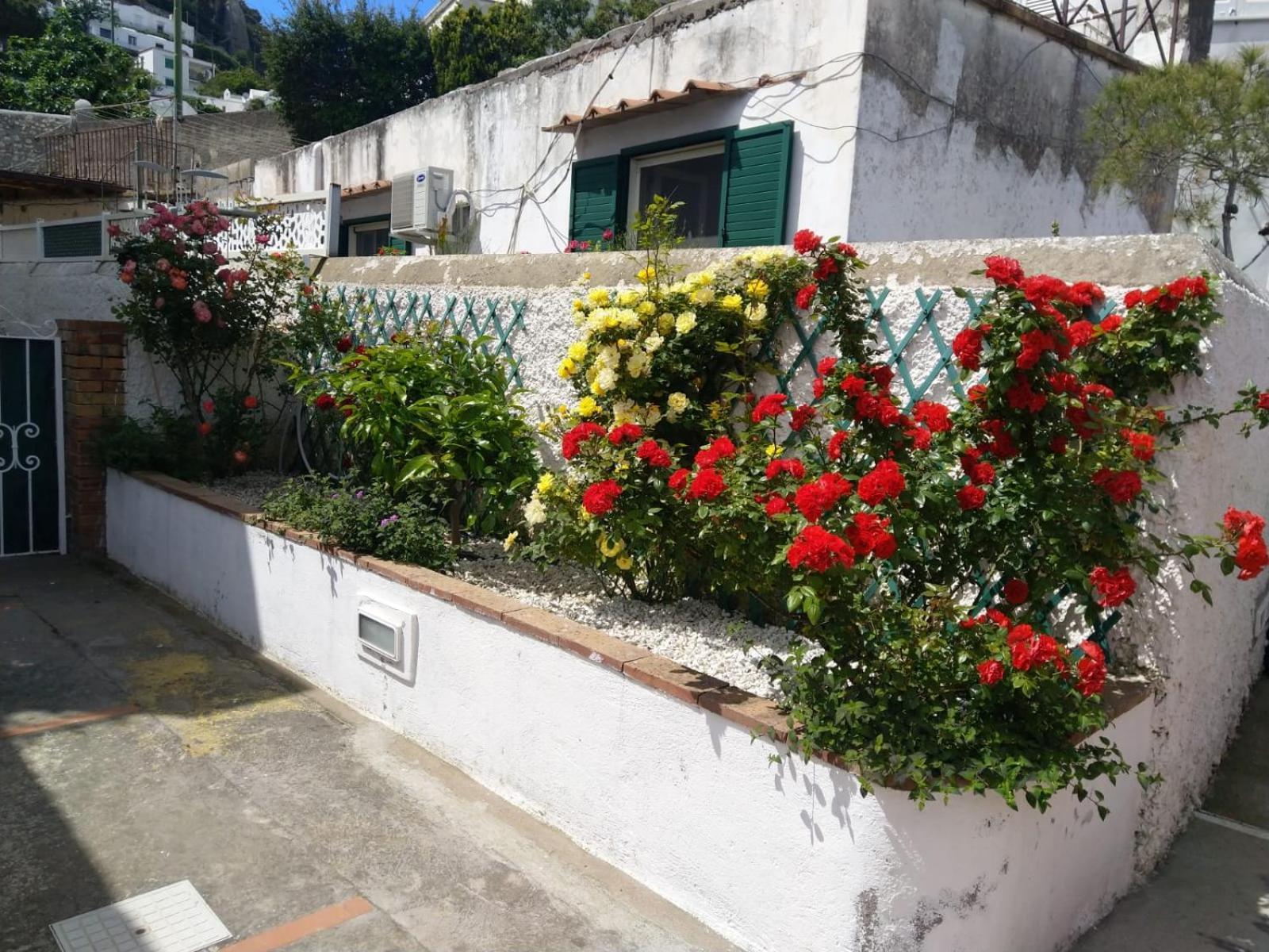 Villa La Marocella Capri Exterior foto